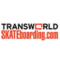 transworld skate
